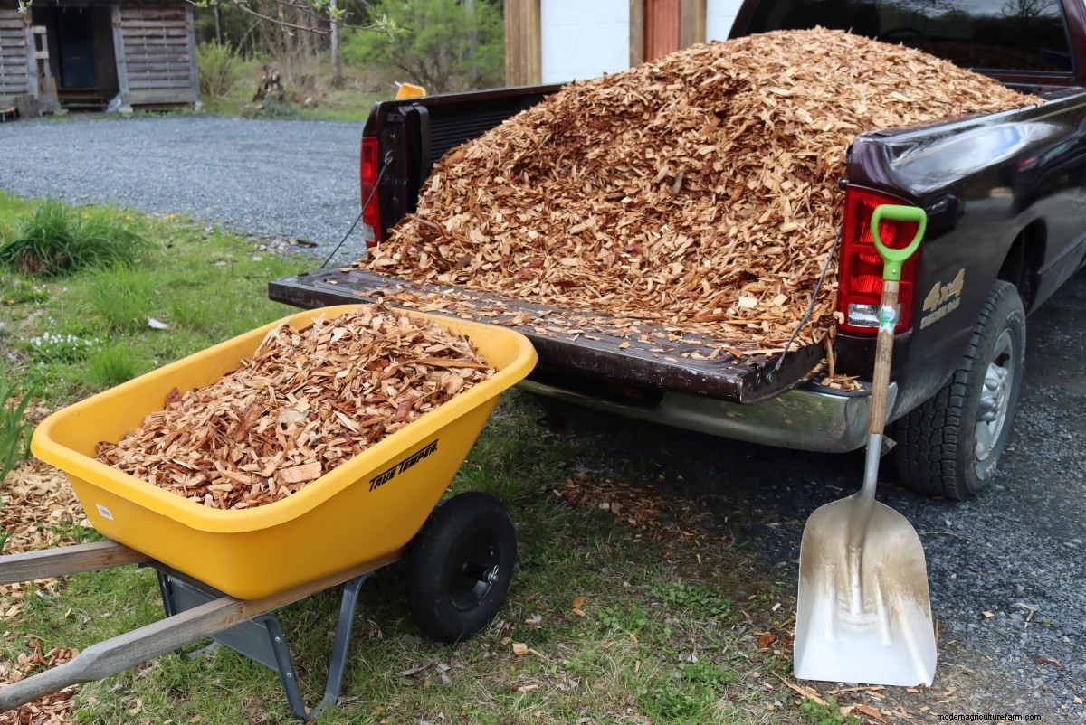 Gardening with Wood Chips