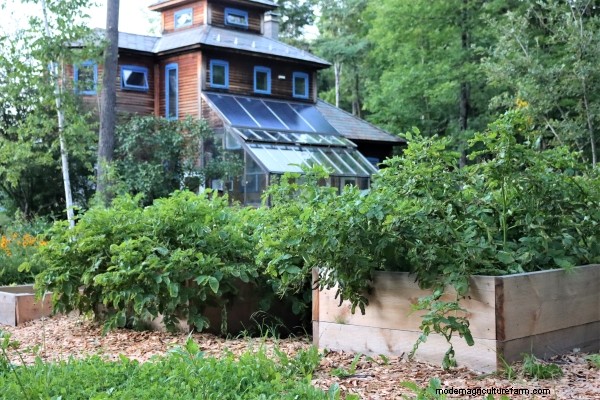 Gardening with Wood Chips