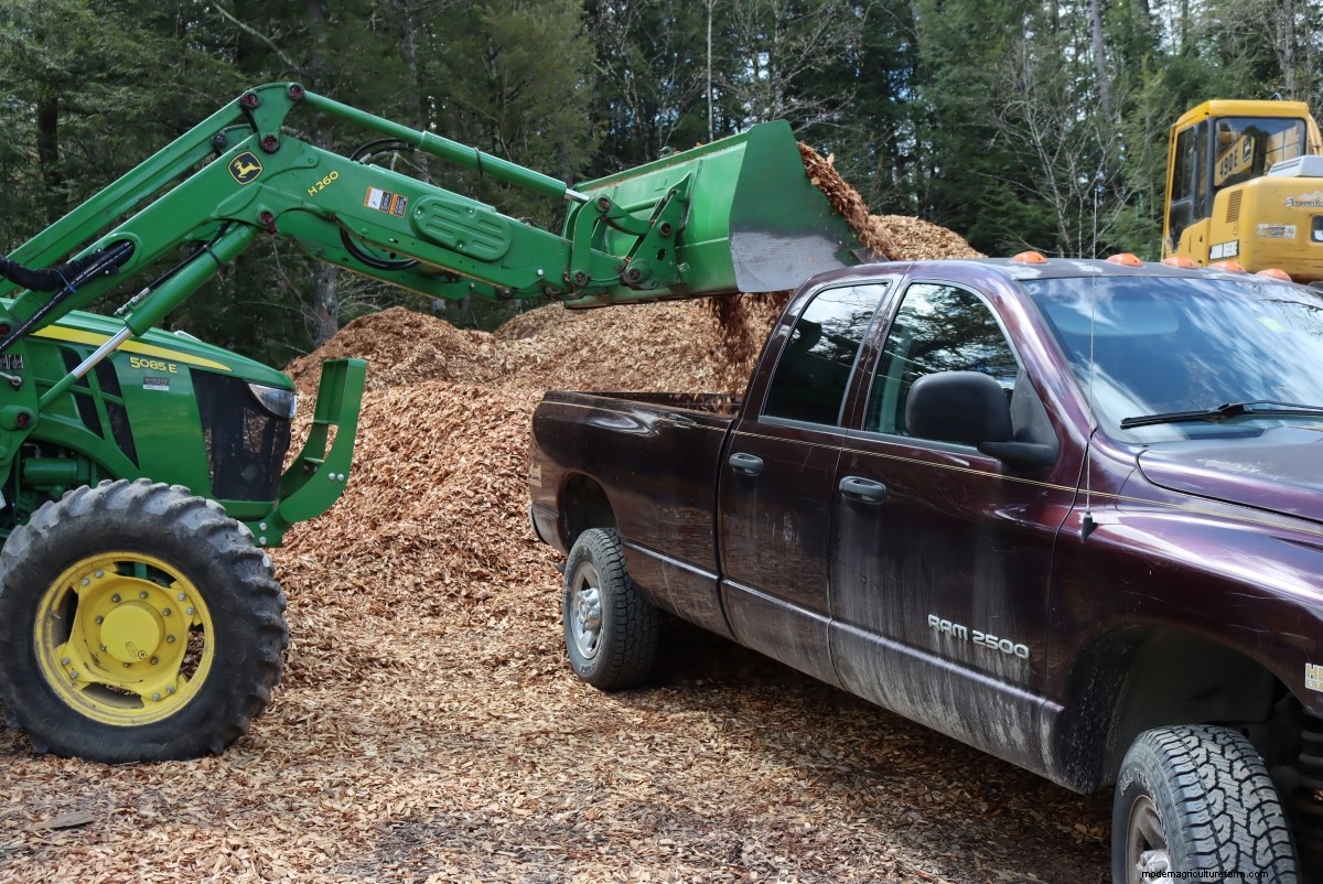 Gardening with Wood Chips