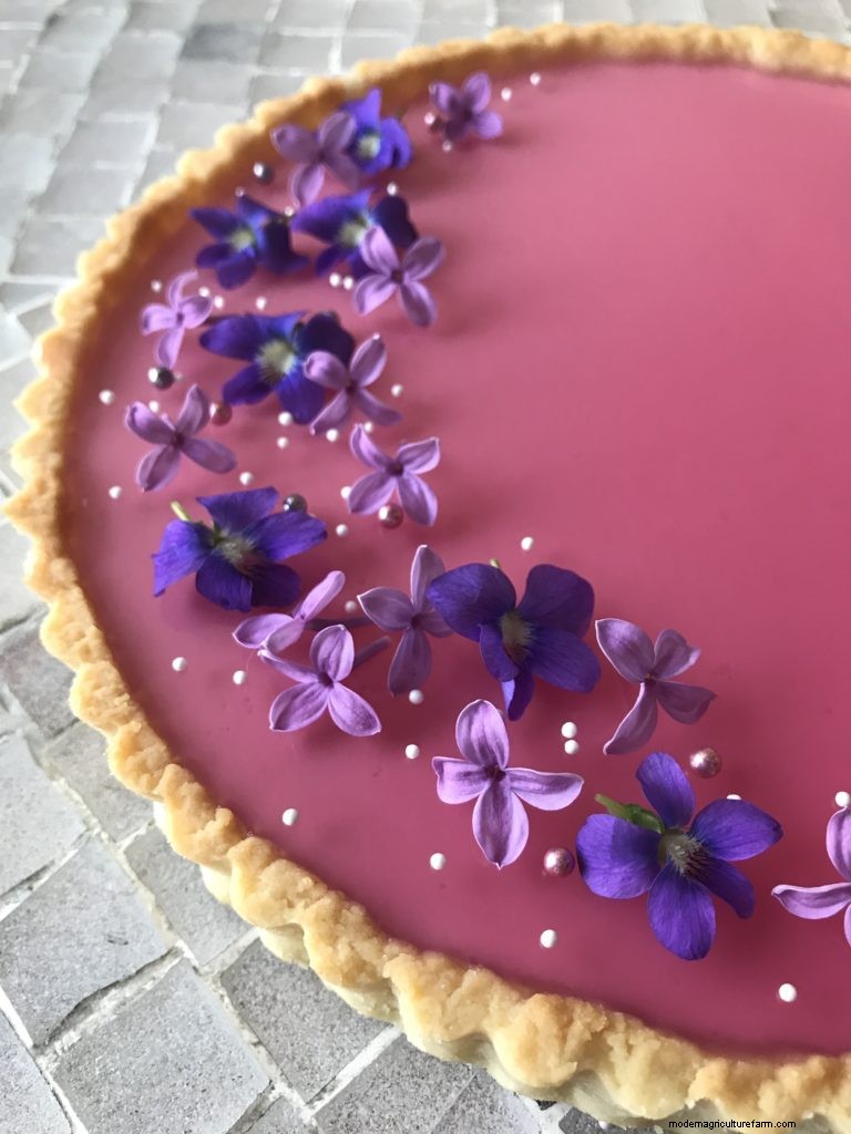 How to Eat Lilacs (and Other Ways to Use Them)