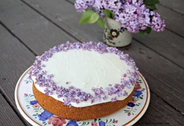 How to Eat Lilacs (and Other Ways to Use Them)