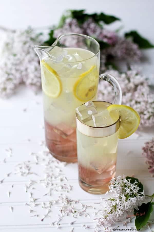 How to Eat Lilacs (and Other Ways to Use Them)