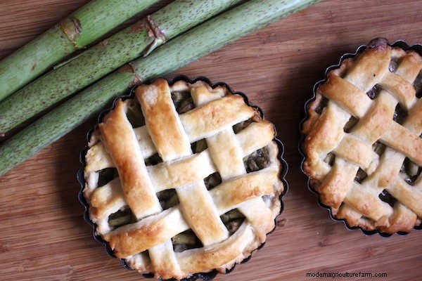 20+ Edible Weeds in Your Garden (with recipes!)