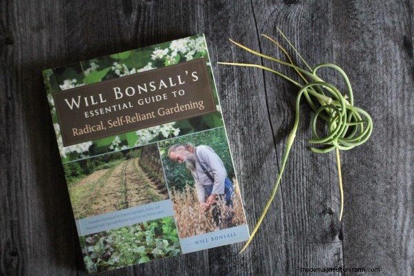 Breeding Your Own Garlic Varieties (True Garlic Seed)