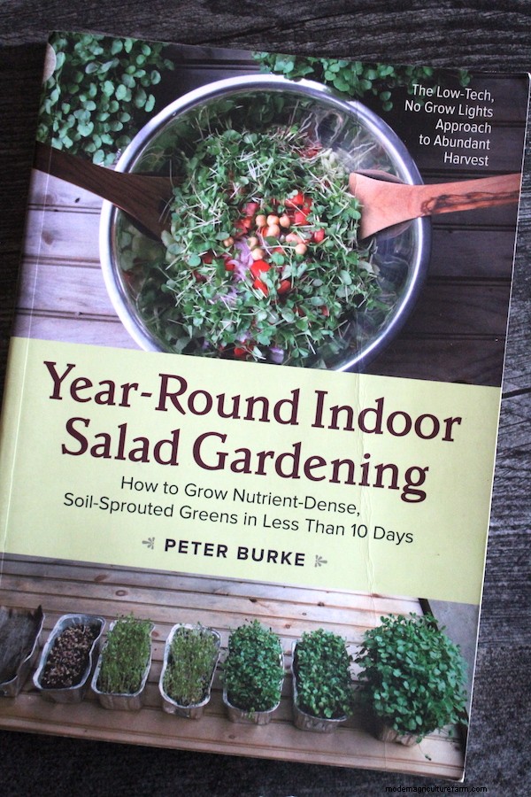 How to Grow Microgreens