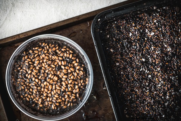 How to Grow Microgreens