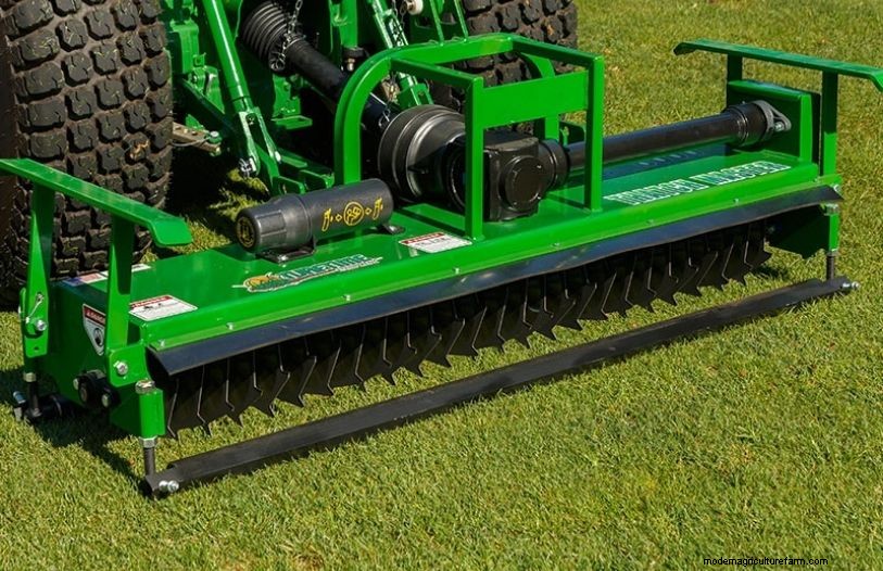 What is Overseeding Grass?