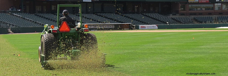 7 Things You Need to Know Before You Mow Your Lawn This Spring
