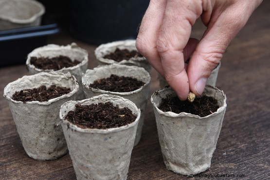 10 of the best eco-friendly plant pots