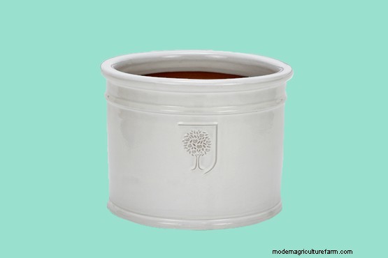 10 of the best eco-friendly plant pots