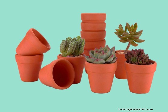 10 of the best eco-friendly plant pots
