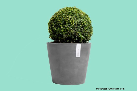 10 of the best eco-friendly plant pots