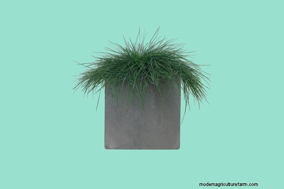 10 of the best eco-friendly plant pots