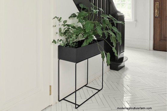 10 of the best eco-friendly plant pots