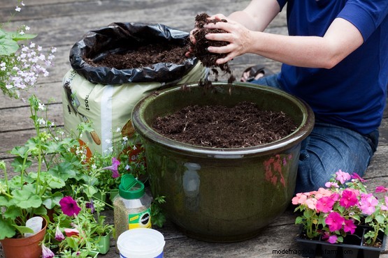 Gardening for beginners: container gardening