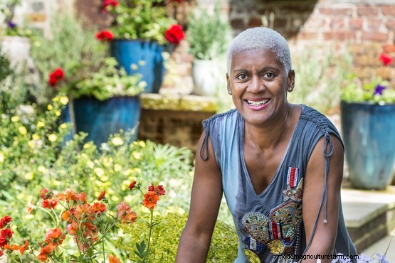 Five top tips – growing plants for colour and impact