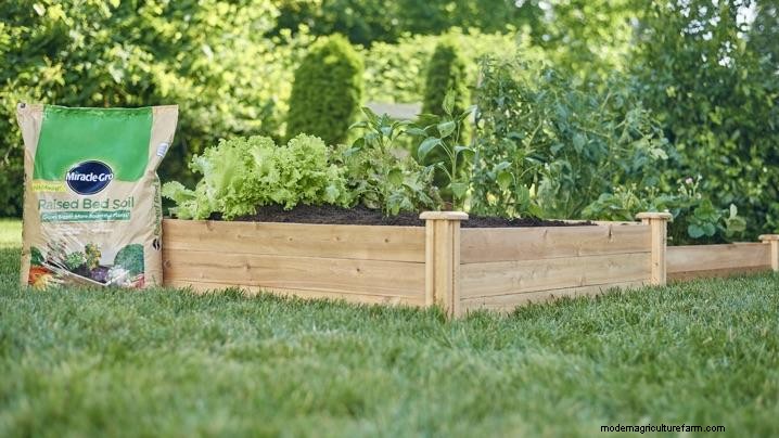 What Is a Raised Bed, Anyway?