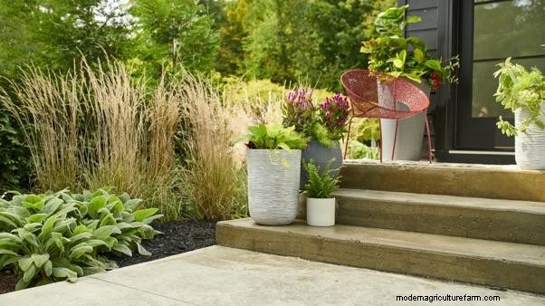 How to Plant a Small-Space Organic Garden