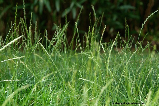 Signs of hibernating wildlife