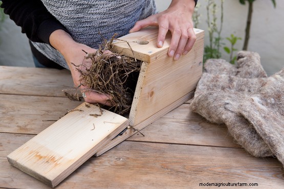 Convert a nest box into a winter roost
