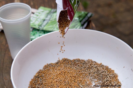 How to sow green manure