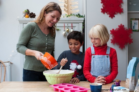 How to make bird seed decorations