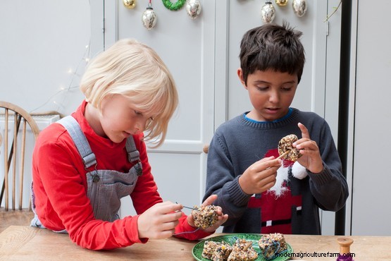 How to make bird seed decorations