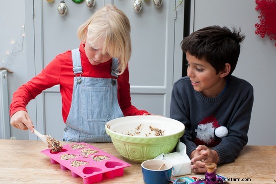 How to make bird seed decorations