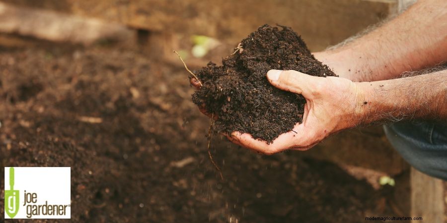 Make Compost Quickly and Easily in 3 Simple Steps
