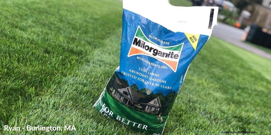 Back to Lawn Care Basics