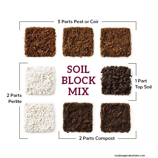 Starting Seeds with Soil Blocking