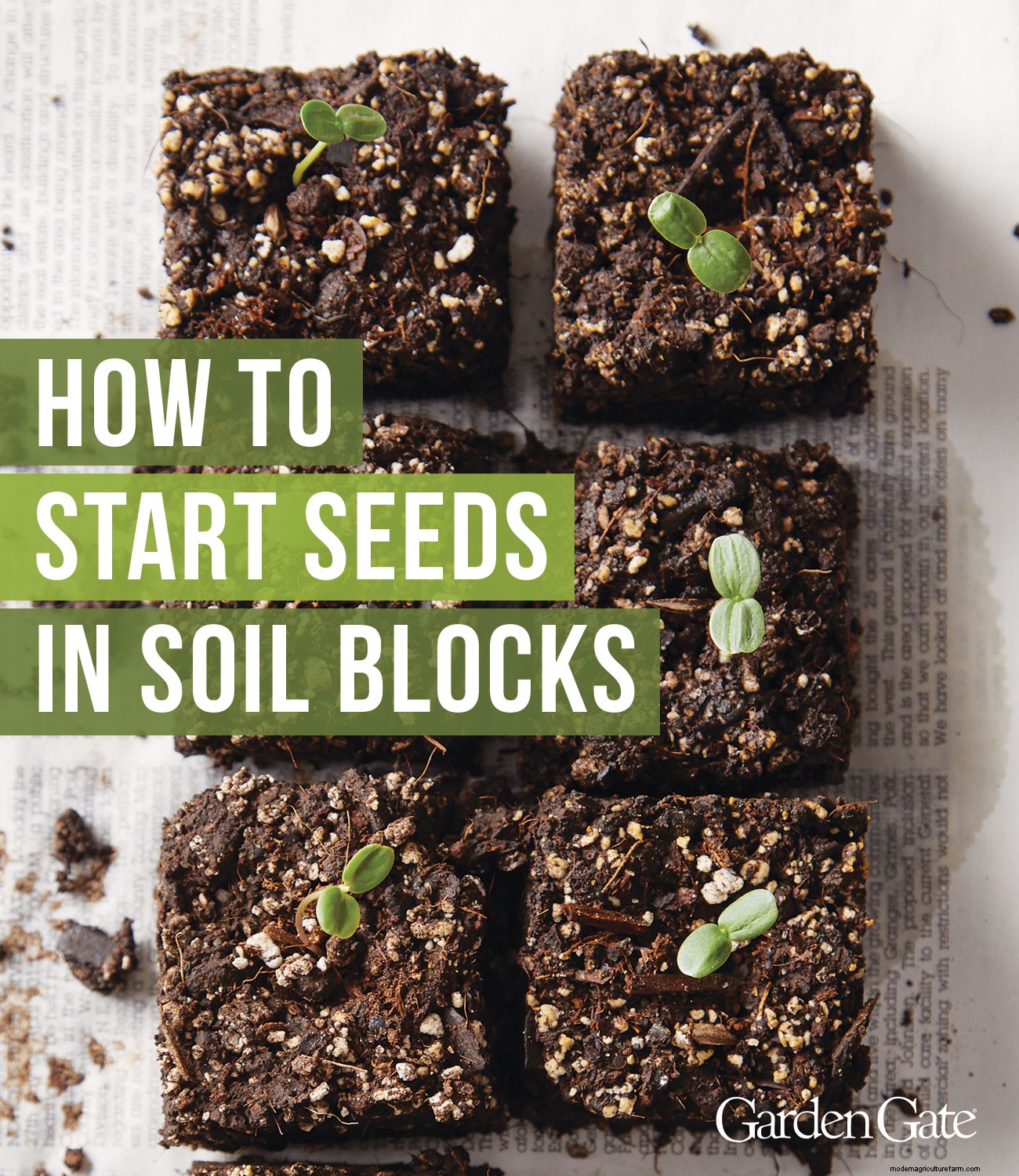 Starting Seeds with Soil Blocking