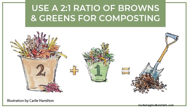 Garden Compost Basics