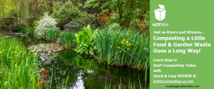 Garden Compost Basics