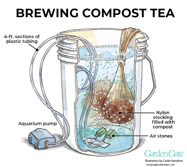 Compost Tea