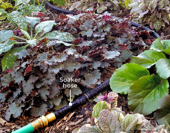 Different Types of Garden Hoses