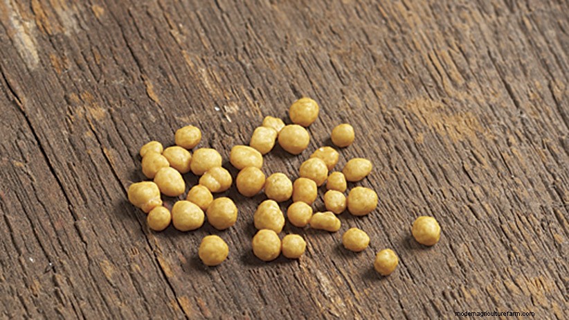 How to Use Fertilizer in Your Garden