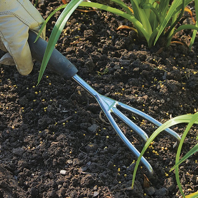 How to Use Fertilizer in Your Garden