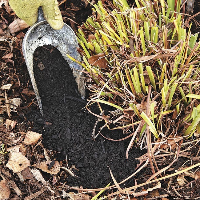 How to Use Fertilizer in Your Garden