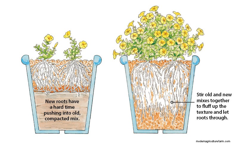 What Should I Do With Used Potting Mix?