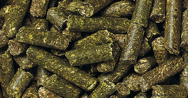 Organic Garden Products