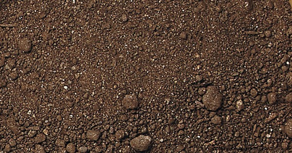 Organic Garden Products