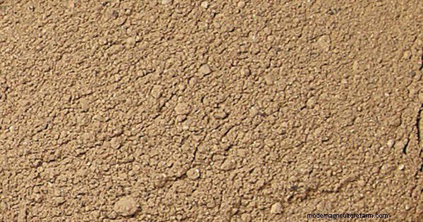 Organic Garden Products