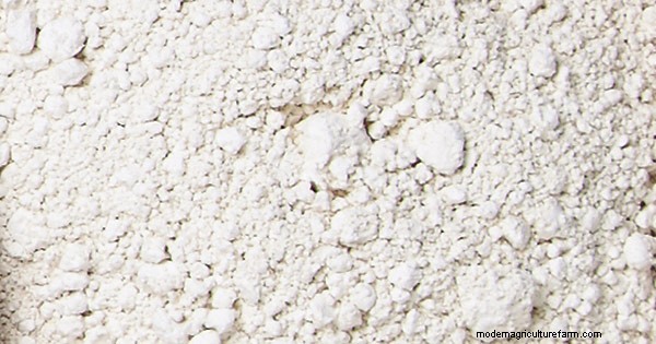 Organic Garden Products