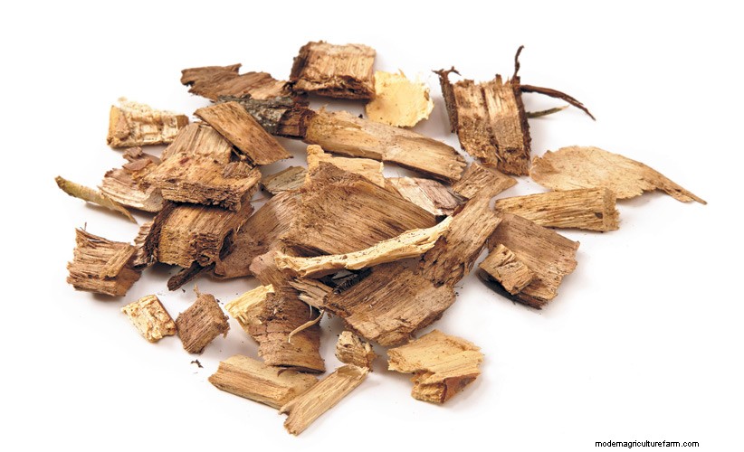 Can I Use Wood Chip Mulch From a Tree Service?