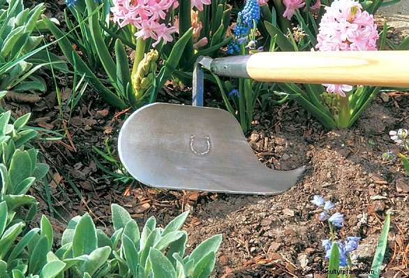 How to choose the right garden hoe