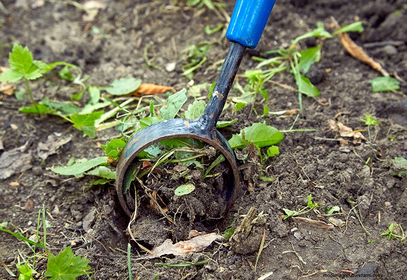 How to choose the right garden hoe