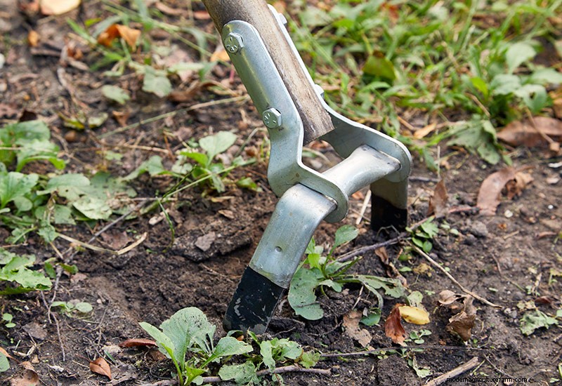 How to choose the right garden hoe