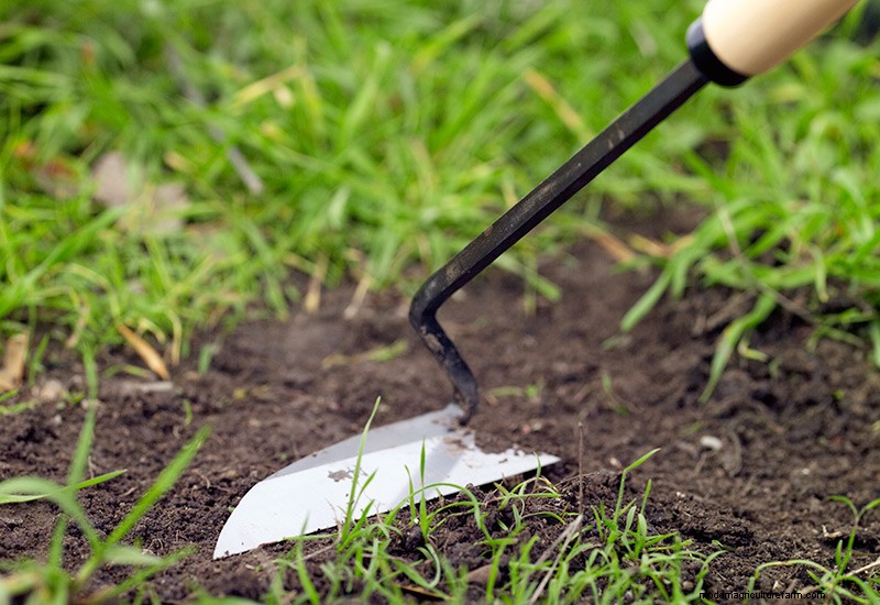 How to choose the right garden hoe