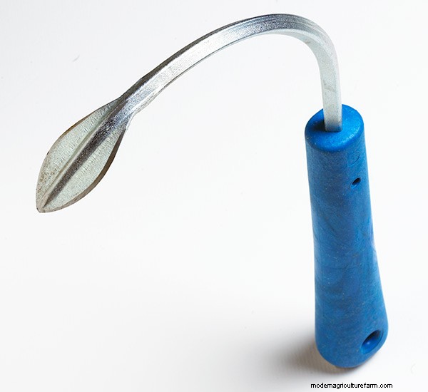 How to choose the right garden hoe